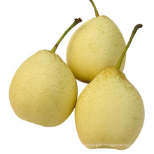 New Crop Fresh Ya Pear